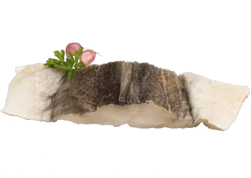 Bacalhau - Gadus Morhua 
