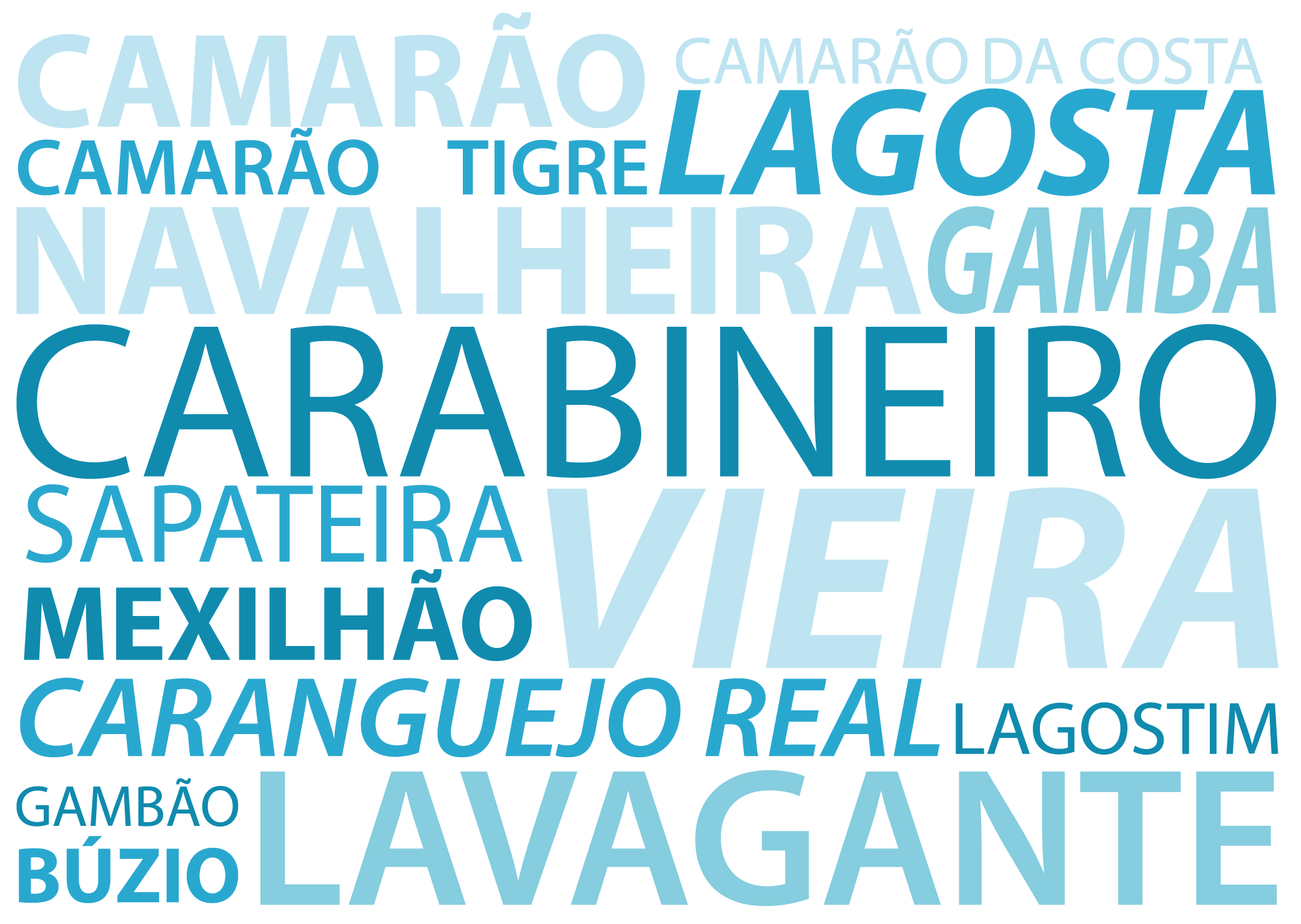 Promoções Novembro